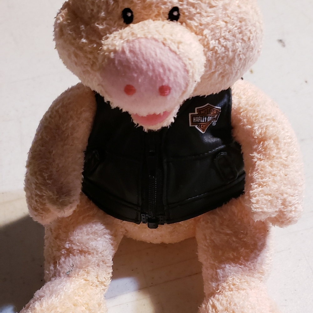 COPY - Harley davidson hog with leather harley vest